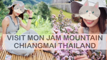 ไทยเย็ดกัน โยกเย็ด เอากัน เย็ดไม่หยุด เย็ดไม่พัก